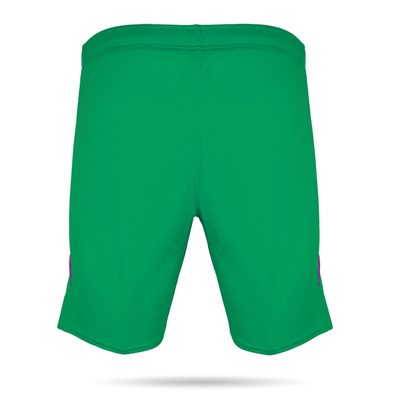 23/24 Green Goalkeeper Youth Shorts