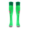 23/24 Green Goalkeeper Adult Socks