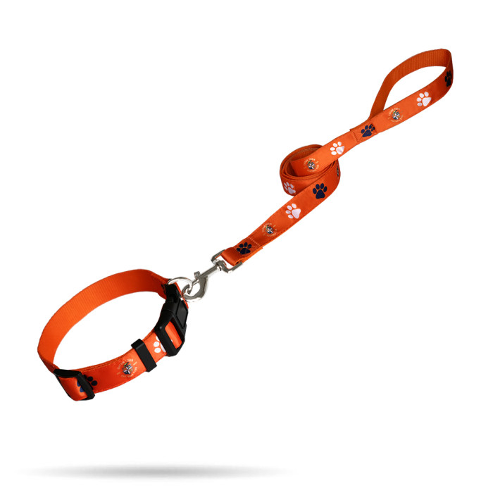 Luton Town Orange Paw Print Dog Collar and Lead Se